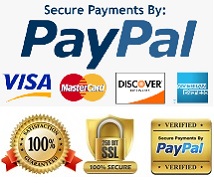 Visa / Master / PayPal
